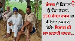 ਪੰਜਾਬ ਦੇ ਕਿਸਾਨਾਂ ਨੂੰ ਵੱਡਾ ਝਟਕਾ, 150 ਏਕੜ ਫਸਲ ਦਾ ਹੋਇਆ ਨੁਕਸਾਨ; ਬੋਲੇ- ਵਿਭਾਗ ਦੀ ਲਾਪਰਵਾਹੀ ਕਾਰਨ...