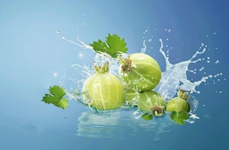 आंवला पानी: आंवला न सिर्फ इम्युनिटी बढ़ाता है, बल्कि शरीर से टॉक्सिन भी निकालता है. मानसून में आंवला शरबत पीने से स्किन पर ग्लो आता है और बालों की सेहत भी सुधरती है.