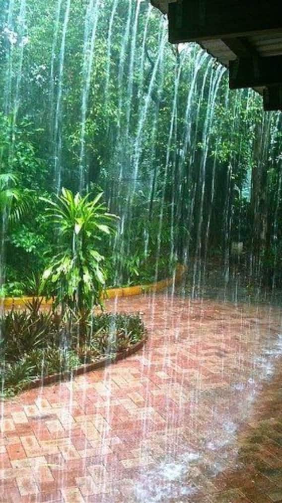 हरियाणा में मानसून के मौसम में करें ये 10 मज़ेदार चीजें, घूमने से लेकर खाने तक सबकुछ खास