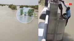 Watch: पत्नी ने सेल्फी के बहाने पति को नदी में दिया धक्का, ऐसे बची जान, देखें हैरान करने वाला वीडियो