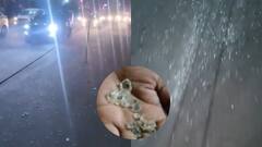 कांवड़ मार्ग पर फैले शीशे के टुकड़े, हादसा या शरारत? दिल्ली पुलिस हिरासत में ई-रिक्शा चालक