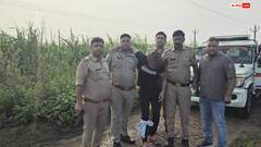 यूपी: 15 लाख की सुपारी से शुरू हुई हत्या की चेन, राष्ट्रीय पहलवान मुठभेड़ के बाद पकड़ा गया