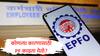 EPFO : नोकरी करत असताना किती PF काढू शकता? कोणत्या कारणासाठी किती पैसे मिळतात? जाणून घ्या काय आहेत नियम