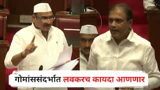 Maharashtra Monsoon Session 2025: गोमांससंदर्भात लवकरच कायदा आणणार; 57 किलो गोमांसच्या मुद्द्यावरुन विधानसभेत प्रश्न, मंत्र्यांचं उत्तर