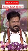 నల్గొండలో ఏకలింగం..తులసి వనంలో గంజాయి మొక్కని మీరే పీకేయాలి