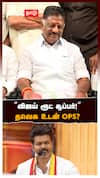 ’’விஜய் ரூட் சூப்பர்!’’ தவெக உடன் OPS? : OPS on TVK Vijay TN Politics
