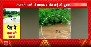 India News: Cyclone Wreaks Havoc In MP, STF Guns Down Shooter In UP, Cop Assaults Toll Worker In Rajasthan