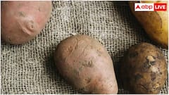 Health: ભૂલથી પણ ન ખાશો આ પ્રકારના બટાટા, જાણો ક્યાં કારણે બની જાય છે ઝેર, શરીરને શું થાય છે નુકસાન