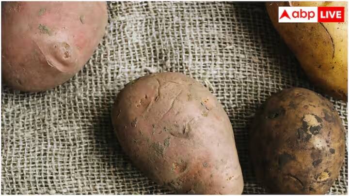 જ્યારે બટાકામાં અંકૂર ફૂટવા લાગે છે અથવા લીલા થવા લાગે છે, ત્યારે તેમાં ગ્લાયકોઆલ્કલોઇડ્સ નામના ઝેરી સંયોજનોનું સ્તર વધી જાય છે. આમાં મુખ્યત્વે સોલનિન અને ચાકોનિનનો સમાવેશ થાય છે. આ બટાકાને જીવાત અને રોગોથી બચાવવા માટે કુદરતી રીતે હાજર હોય છે, પરંતુ જ્યારે તેનું પ્રમાણ વધે છે, ત્યારે તે માનવ શરીર માટે હાનિકારક બની શકે છે.