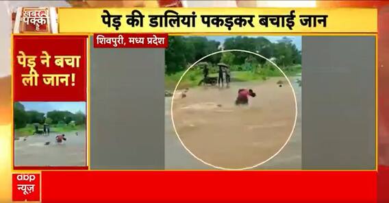 Weather Update: जलप्रलय की चपेट में लाखों लोग, सरकार से मदद की गुहार | MP News | Himachal Pradesh