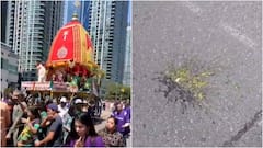 'Despicable Act': India Urges Canada To Take Action After Eggs Thrown At Rath Yatra In Toronto