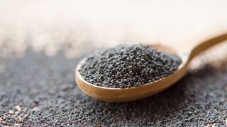 Poppy Seeds: ਸਰੀਰ ਲਈ ਵਰਦਾਨ ਅਫੀਮ ਦੀ ਭੈਣ! ਸਰੀਰ ਦੇ ਅੰਗ-ਅੰਗ 'ਚ ਭਰ ਦਿੰਦੀ ਜਾਨ  