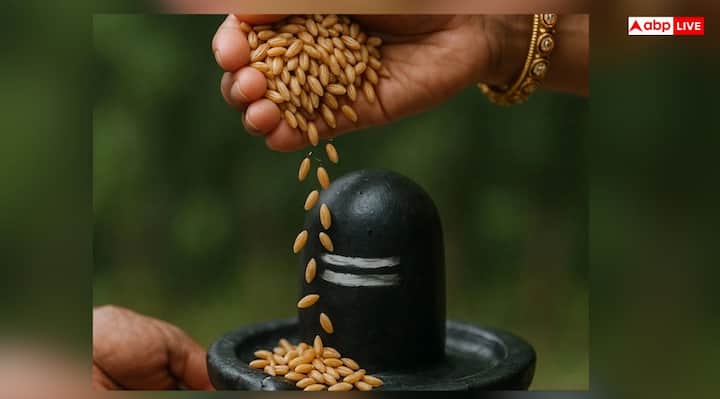 लेकिन अगर आप शिवा मुट्ठी के बारे में नहीं जानते या पहले कभी भगवान शिव को शिवा मुट्ठी नहीं चढ़ाया तो आइये आपको बताते हैं कि, शिवा मुट्ठी क्या है और सावन में इसे चढ़ाने की विधि क्या है?