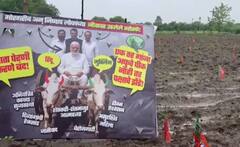 ਜੇ ਮੋਦੀ ਸਰਕਾਰ ਸਾਡੀ ਆਮਦਨ ਨਹੀਂ ਵਧਾ ਸਕਦੀ ਤਾਂ ਸਾਨੂੰ ਭੰਗ ਤੇ ਅਫੀਮ ਦੀ ਖੇਤੀ ਕਰਨ ਦੇਵੇ, ਲਾਰਿਆਂ ਤੋਂ ਅੱਕੇ ਕਿਸਾਨਾਂ ਨੇ ਬੀਜੇ ਭਾਜਪਾ ਦੇ ਝੰਡੇ !