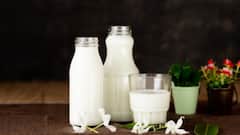 Facts About Milk: দুধ নিরামিষ না আমিষ? বিতর্ক আজকের নয়