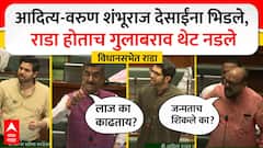 दोन भाऊ नडले, शंभूराज देसाई रागात खाली बसले; गुलाबराव पाटलांनी छाती ठोकली, विधानसभेत जोरदार राडा, VIDEO