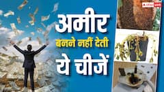 पौधों का सूखना, बिजली के उपकरणों का खराब होना,क्या ये कोई अशुभ संकेत हैं? वास्तु शास्त्र से समझें