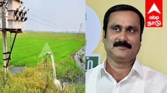 உணவளிக்கும் கடவுள்கள் மீதான அக்கறை இதுதானா? - அன்புமணி ராமதாஸ்