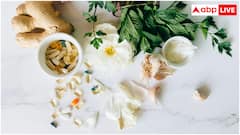 बॉडी में दिखें ये 5 सिग्नल तो समझ जाएं हो गई Vitamin E की कमी, तुरंत करें डॉक्टर को कॉल