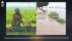Punjab News: ਪੰਜਾਬ ਦੇ ਕਿਸਾਨਾਂ ਲਈ ਰਾਹਤ, ਹੜ੍ਹਾਂ ਦਾ ਖਤਰਾ ਟਲਿਆ