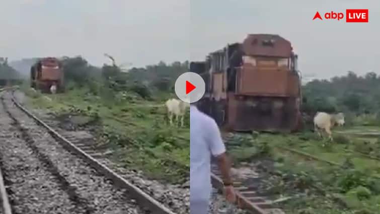 तेज रफ्तार ट्रेन के आगे अचानक आ गई गाय, फिर जो हुआ हुआ…