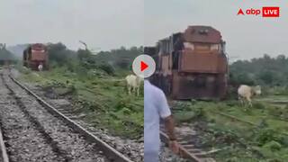 तेज रफ्तार ट्रेन के आगे अचानक आ गई गाय, फिर जो हुआ हुआ...