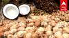 Coconut Price Hike : தேங்காய் விலை உச்சம்! திருவாரூர், ஈரோட்டில் கிடுகிடு விலை உயர்வு!