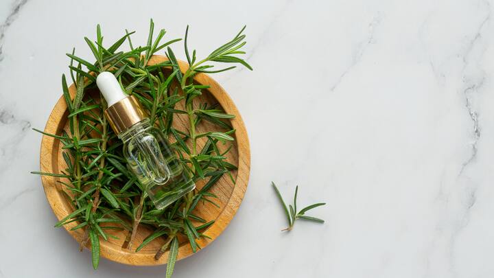 Rosemary Oil – For Focus and Memory: Monsoon laziness can affect focus. Rosemary oil can enhance sluggishness during mentally slow, rainy days by stimulating alertness. (Image Source: freepik)
