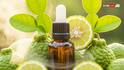 Aromatherapy For The Rainy Season: Oils That Balance Emotions And Calm The Mind