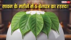 सावन में बेलपत्र चढ़ाने के 5 अचूक स्थान, मनोकामनाएं होंगी पूरी, मिलेगा शिव आशीर्वाद!