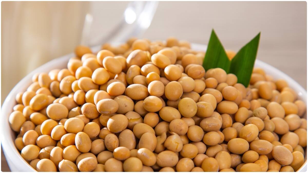 Thyroid Diet : థైరాయిడ్ ఉన్నవారు తినకూడని ఫుడ్స్ లిస్ట్.. వీటిని తింటే మందులు కూడా పనిచేయవట