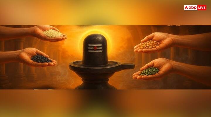 शिवा मुट्ठी में 5 प्रकार के अनाज अक्षत, सफेद तिल, गेहूं या जौ, उड़द की दाल, खड़ी मूंग और सतुआ होते हैं. शिवा मुट्ठी को सावन के सोमवार के दिन शाम के समय चढ़ाना चाहिए.