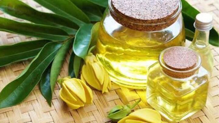 Ylang-Ylang Oil – For Emotional Balance: Help balance your emotions with this sweet floral oil that reduces anger and tension while uplifting one’s spirit. It is perfect for days when you are overwhelmed or feeling down. (Image Source: Pinterest/ organicfacts)