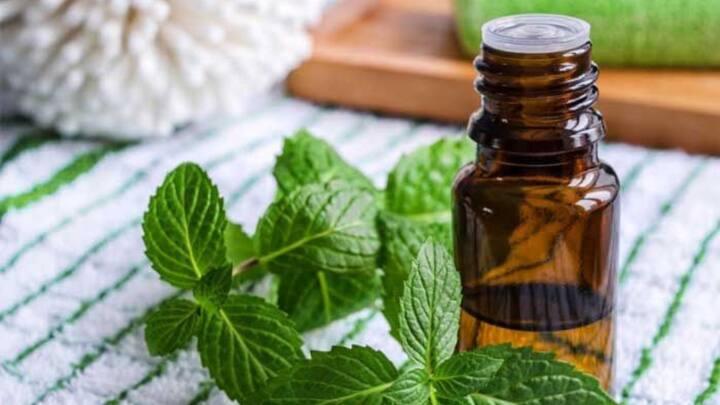 Patchouli Oil – For Comfort and Stability: Grounding and comforting, earthy patchouli oil helps manage emotional fatigue and aids in keeping centered. (Image Source: Pinterest/ beautyepic)