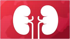 Foods for Kidney Health :  ఈ ఫుడ్స్ కిడ్నీలను బలంగా చేస్తాయి.. మూత్రపిండాల ఆరోగ్యం కోసం తినేయండి