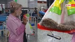 Watch: सांप ने काटा तो थैली में बंद करके अस्पताल पहुंचा शख्स, डॉक्टर भी रह गए हैरान, वीडियो वायरल