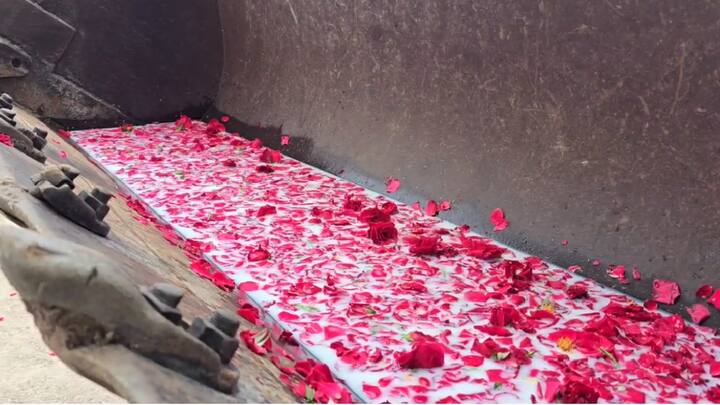 जालन्यात धनंजय मुंडे यांच्या वाढदिवसानिमित्त त्यांच्या प्रतिमेला जेसीबी द्वारे दुग्धाभिषेक करण्यात आला. जेसीबीमध्ये गुलाबाच्या पाकळ्यांनी भरलेला दूध ठेऊन मुंडेंच्या बॅनरवर दूध टाकण्यात आलं