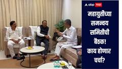 महायुतीच्या समन्वय समितीची बैठक, स्थानिक स्वराज्य संस्थांच्या निवडणुकीच्या दृष्टीने 'हे' निर्णय होणार