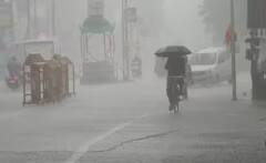 Gujarat Rain Data: રાજ્યમાં છેલ્લા 24 કલાકમાં 122 તાલુકામાં વરસાદી માહોલ, સરસ્વતી તાલુકામાં ખાબક્યો સૌથી વધુ, જાણો આંકડા