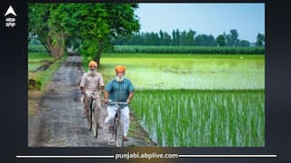 Flood in Punjab: ਪੰਜਾਬ ਦੇ ਕਿਸਾਨਾਂ ਲਈ ਰਾਹਤ ਦੀ ਖਬਰ! ਹੁਣ ਹੜ੍ਹਾਂ ਦਾ ਕੋਈ ਖਤਰਾ ਨਹੀਂ