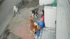 Horrifying Video Of Four Dogs In The Middle Of A Street Attacking An Innocent College Girl Goes Viral In Indore - WATCH