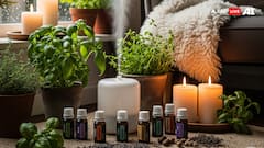 Aromatherapy For The Rainy Season: Oils That Balance Emotions And Calm The Mind