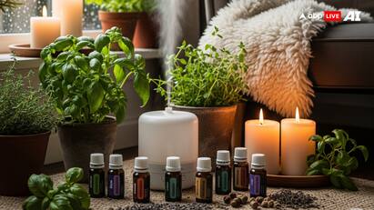 Aroma Therapy : বর্ষাকালে এসেন্সিয়াল তেল আপনার মনকে শান্ত করতে, মানসিক চাপ কমাতে সাহায্য় করে।