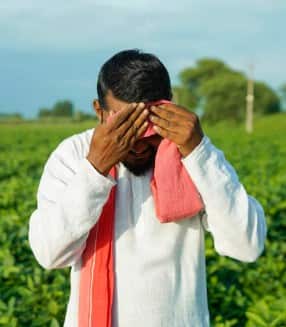 ਅਮਰੀਕੀ ਆਯਾਤ ਖੋਲ੍ਹਣ ਨਾਲ ਭਾਰਤੀ ਡੇਅਰੀ ਕਿਸਾਨਾਂ ਨੂੰ ਹੋਏਗਾ ਵੱਡਾ ਨੁਕਸਾਨ: SBI ਦੀ ਰਿਪੋਰਟ