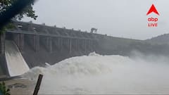 জলাধার থেকে ছাড়া জলে বন্যা পরিস্থিতি, 'যা করার আমরা করব'; আশ্বাস মমতার