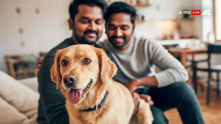 Dog License: अब कुत्ता पालने के लिए लाइसेंस लेना जरूरी हो गया है. लेकिन कुछ ब्रीड ऐसी भी हैं जिन्हें पालने के लिए आपको किसी तरह का लाइसेंस नहीं लेना पड़ता.