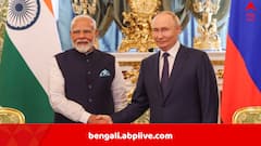 ‘রাশিয়ার থেকে তেল কিনলে ভারতের উপরও ১০০ শতাংশ নিষেধাজ্ঞা’, ট্রাম্পের পর এবার হুঁশিয়ারি দিল NATO