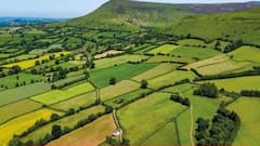 रहिवासी भागात तुकडेबंदी कायदा निरस्त, लहान जमिनी असणाऱ्यांना नेमका काय फायदा होणार?