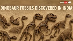 From Rajasaurus To Barapasaurus Tagorei: 8 Dinosaur Fossils Discovered In India That Will Amaze You
