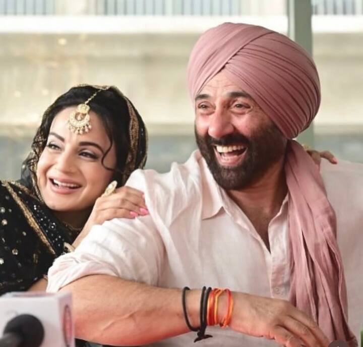 उसके अगले साल 2001 को फिल्म 'गदर: एक प्रेम कथा' की हिस्टोरिकल सक्सेस के बाद वो सुपरहिट हो गई थीं.